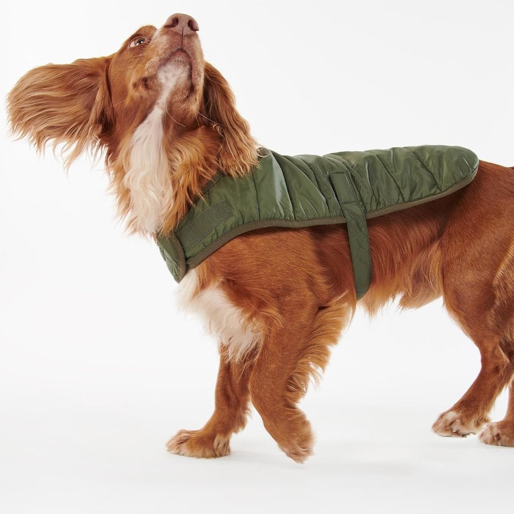 Barbour Baffle Quilt Dog Coat Olive